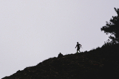 A9_1741