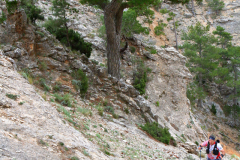 M50